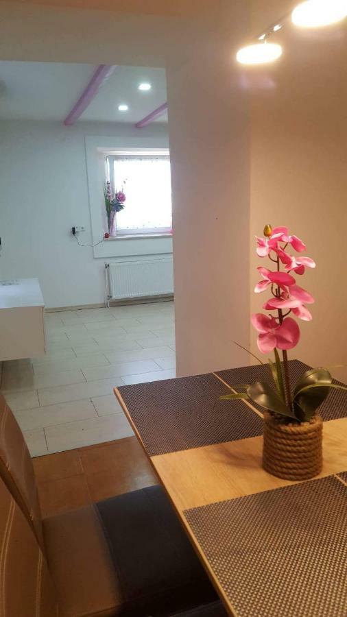 Apartment Goran & Nela Umag Zewnętrze zdjęcie