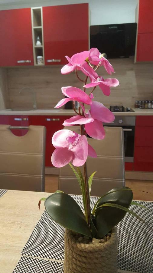 Apartment Goran & Nela Umag Zewnętrze zdjęcie